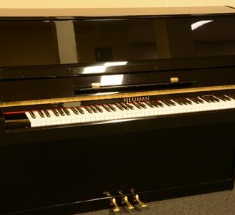 Piano Neuman 110